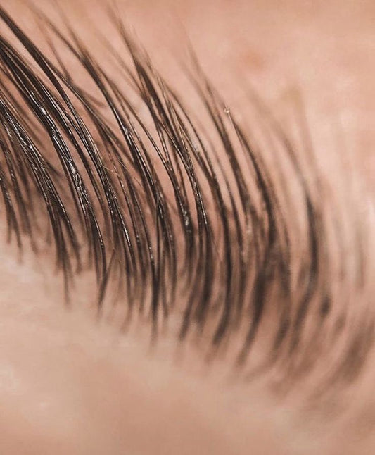 How to Grow Your Brows Back After Overplucking