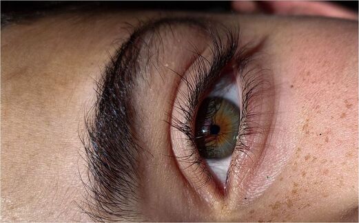 The Lash Growth Cycle Explained