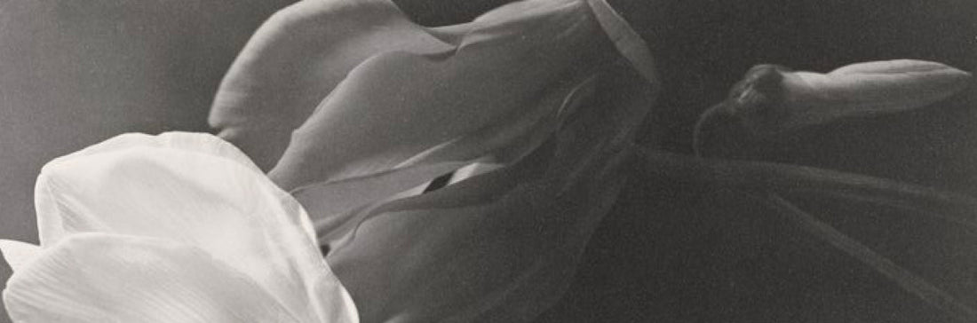 The Dangerous Side Effects of Prostaglandins in Lash Serums