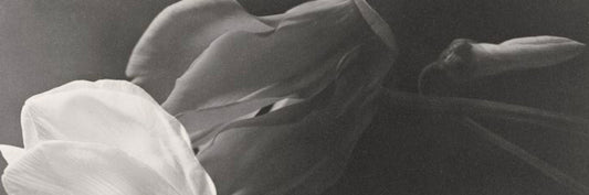 The Dangerous Side Effects of Prostaglandins in Lash Serums