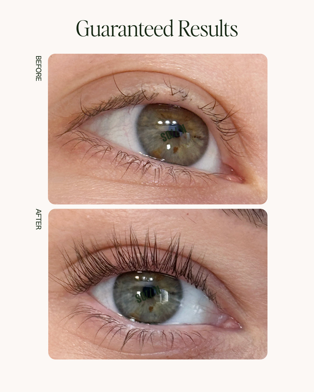 Root 1 Lash Growth Serum