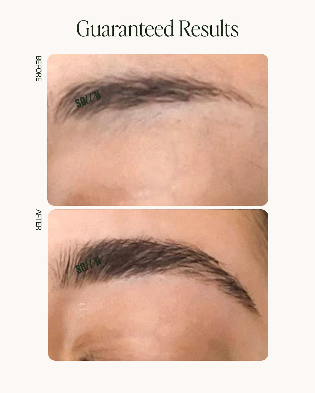 Root 2 Eyebrow Growth Serum
